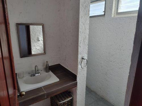foto19
