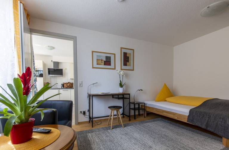 Ferienwohnung Gundelfingen