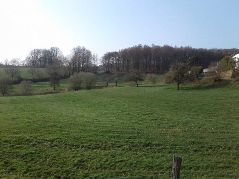 foto35