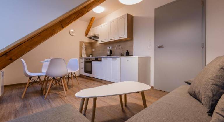 Rental apartment | Next to Saint Wenceslas Cathedral | Pets are welcome — photo 2