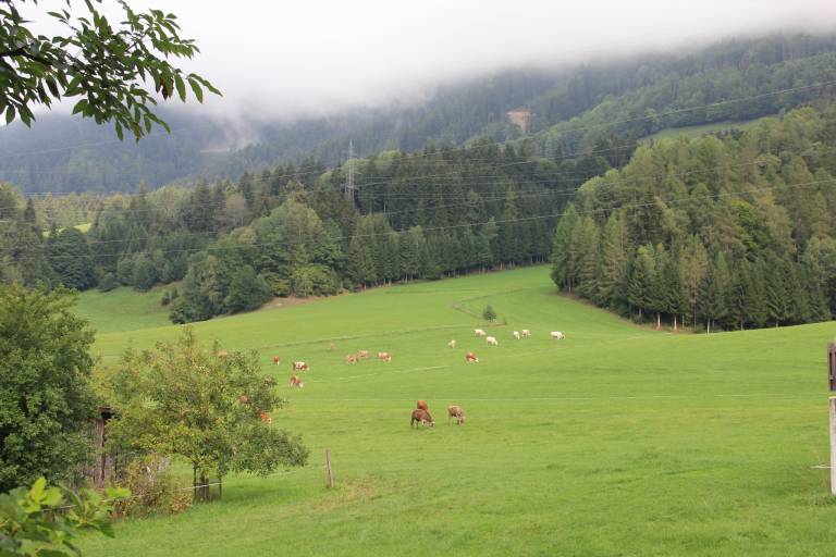 foto14