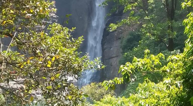 foto46