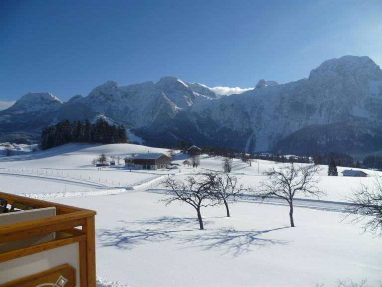 Ferienwohnung  Abtenau