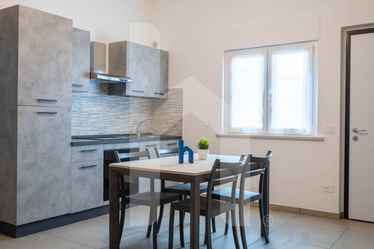 Family-friendly rental apartment | Beach view | Next to the beach | Dogs allowed — photo 2