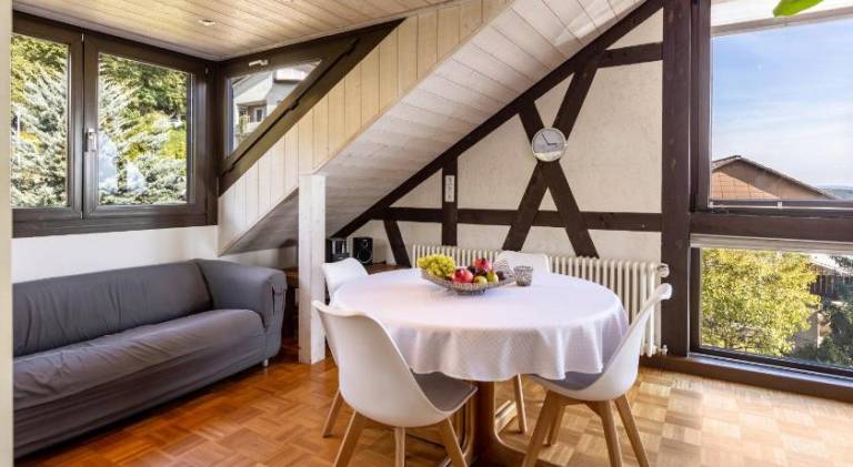 Ferienwohnung Gailingen am Hochrhein