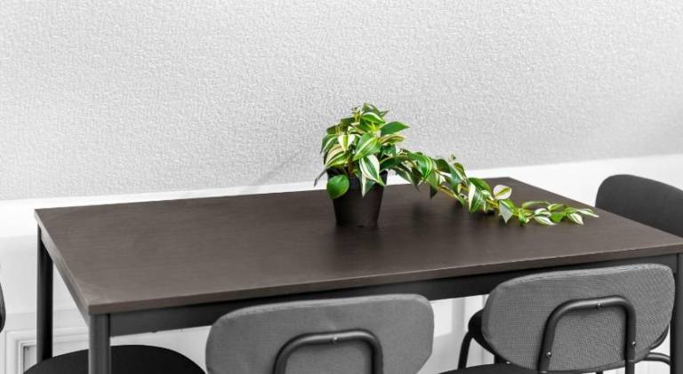 Charming holiday apartment | Pets are welcome — photo 5
