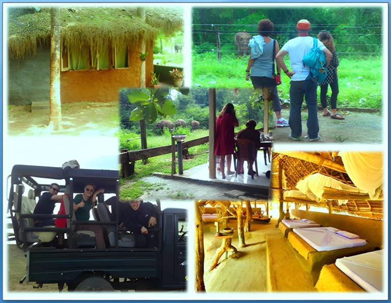GreenWood Udawalawa Safari Resort