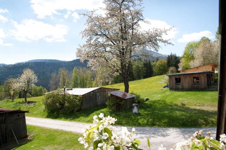 Ferienwohnung Bayerisch Eisenstein