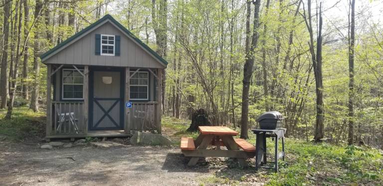 Cabin Elk Garden