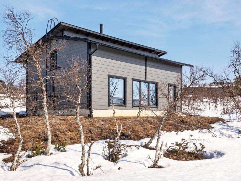 House with sauna — photo 5