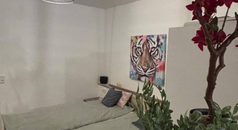Rental apartment with 1 room for 3 persons — photo 2