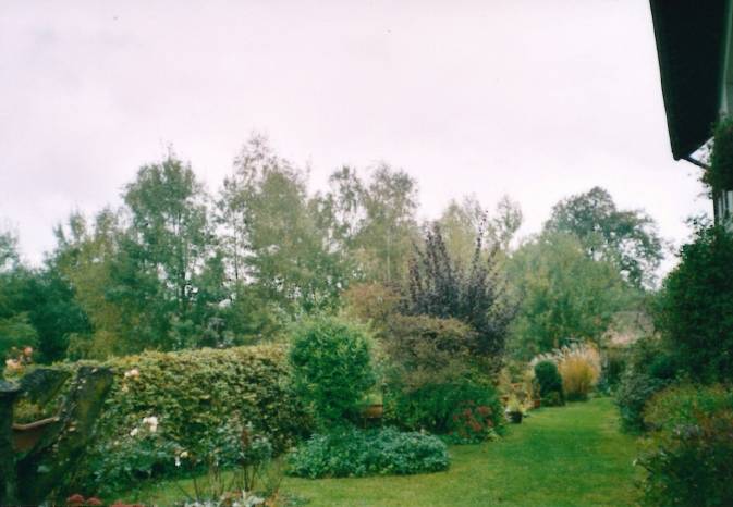 foto10