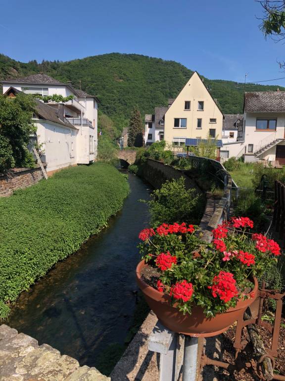 foto18