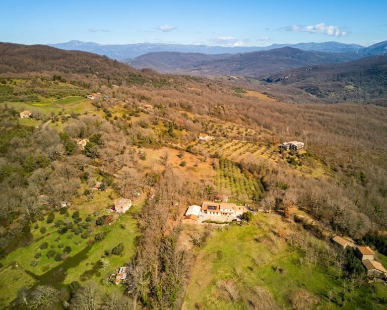 Agriturismo Li Guira – Natura, uliveti ed esperienze autentiche nel Cilento: L'Ulivo: Spazio per 7 (no cucina) nel cuore del Parco del Cilento. Autentica semplicità rurale e due bagni per il massimo comfort. — photo 4
