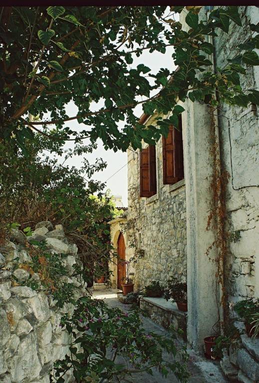 foto18
