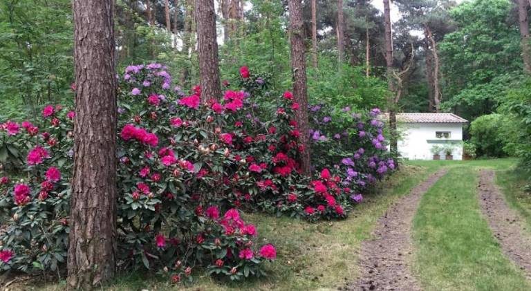 foto34