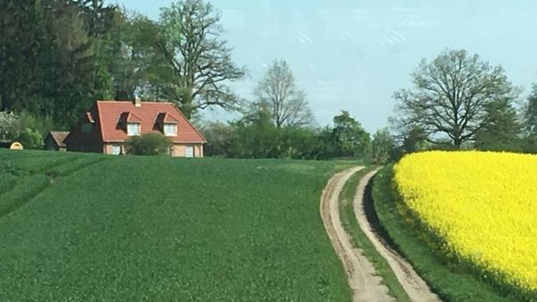 foto2