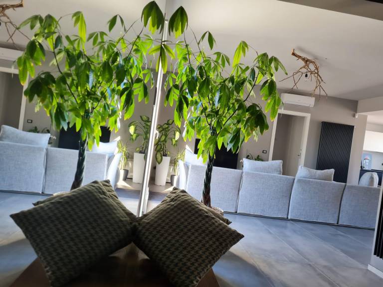 Apartment  Trapani