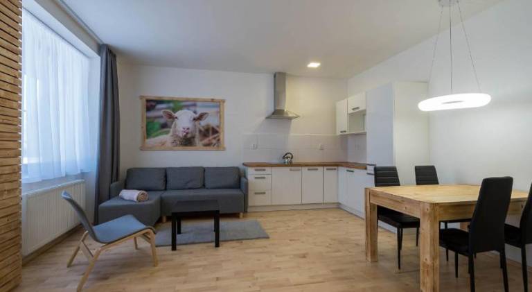Rental apartment with pool, garden & jacuzzi in Benecko