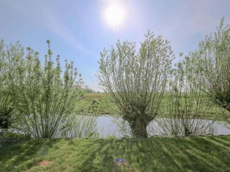 foto22