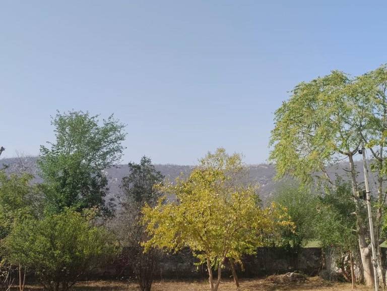 foto44