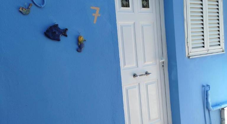Stefanos Garden2 — photo 5