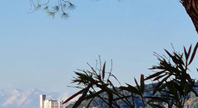 foto8