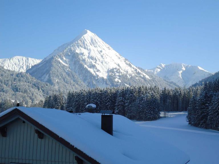 Appartement Schoppernau