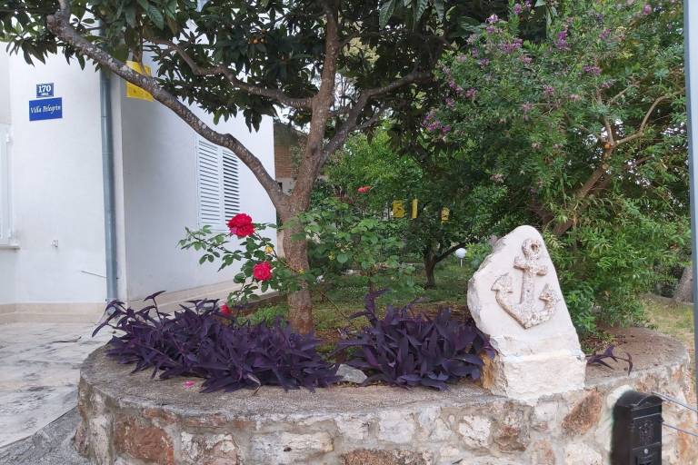 foto31