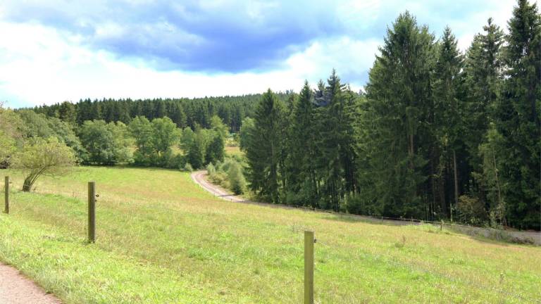 foto21