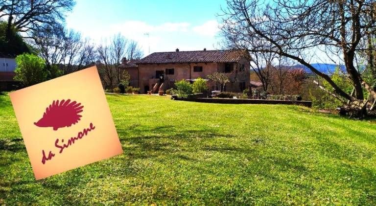 House with hot tub | Dogs allowed in Sovicille