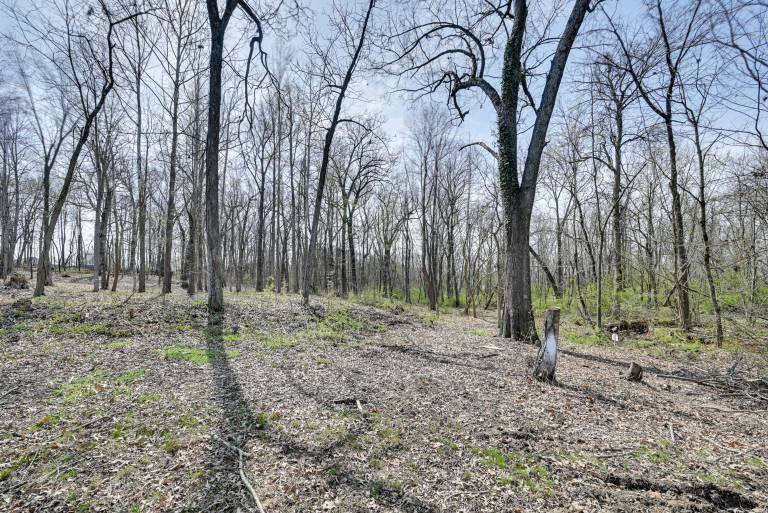 6 Mi to Fort Knox! Rural Family Home, Pets Welcome — photo 4