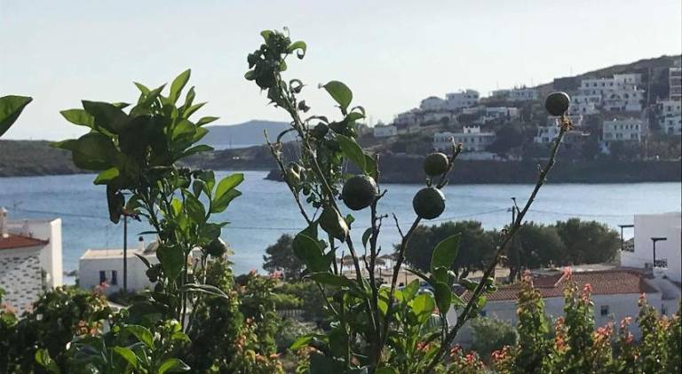 Elina Apartments in Andros