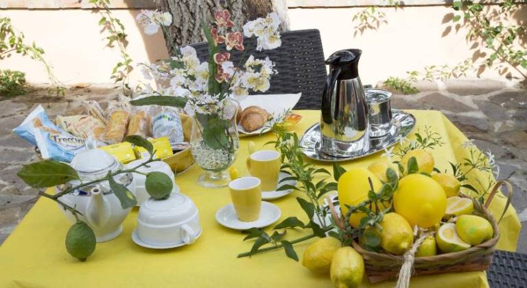 All'Ombra Del Noce B&B — photo 4