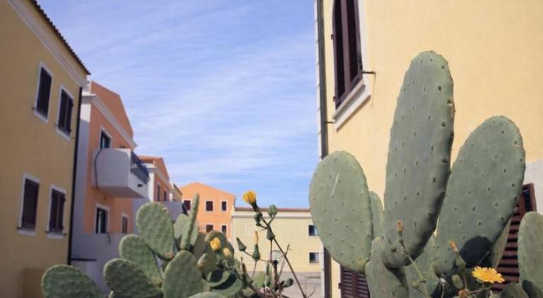 Nice apartment | Pets allowed in Santa Teresa di Gallura