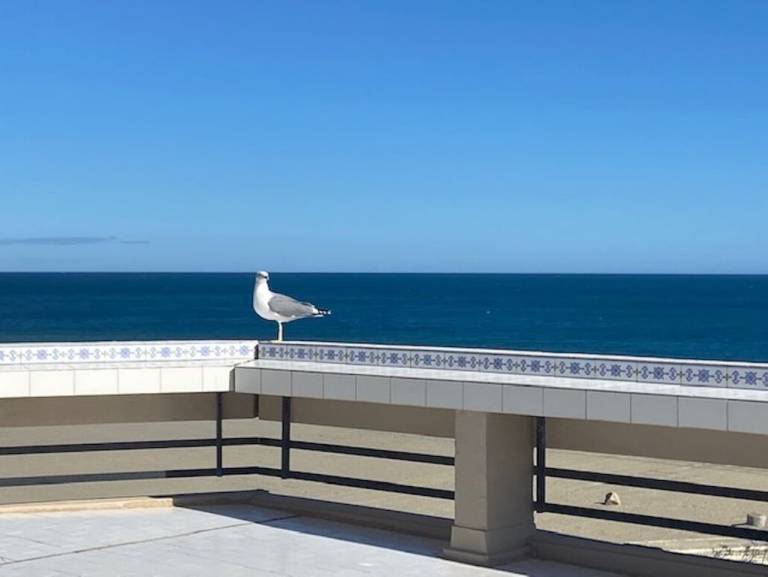 Ferielejlighed  Canet-en-Roussillon