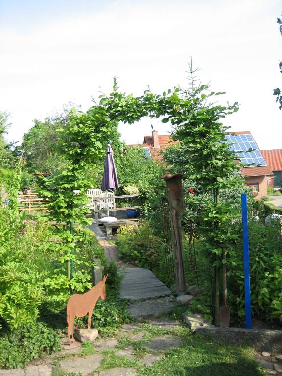 foto6