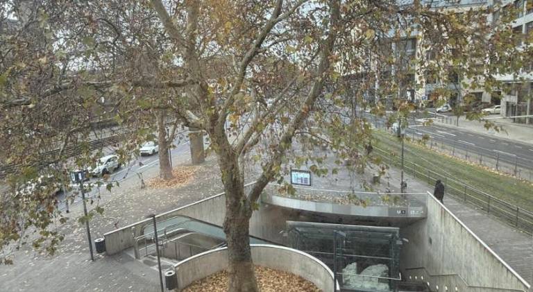 foto13