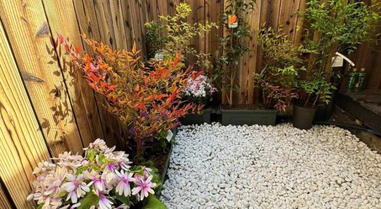 foto7