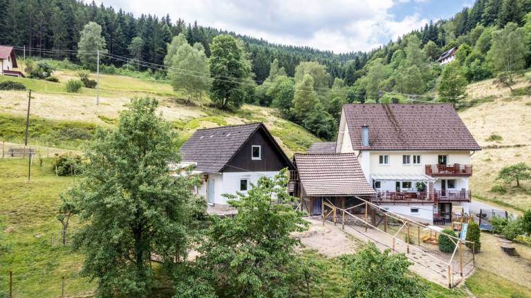 Ferienwohnung Reinerzau