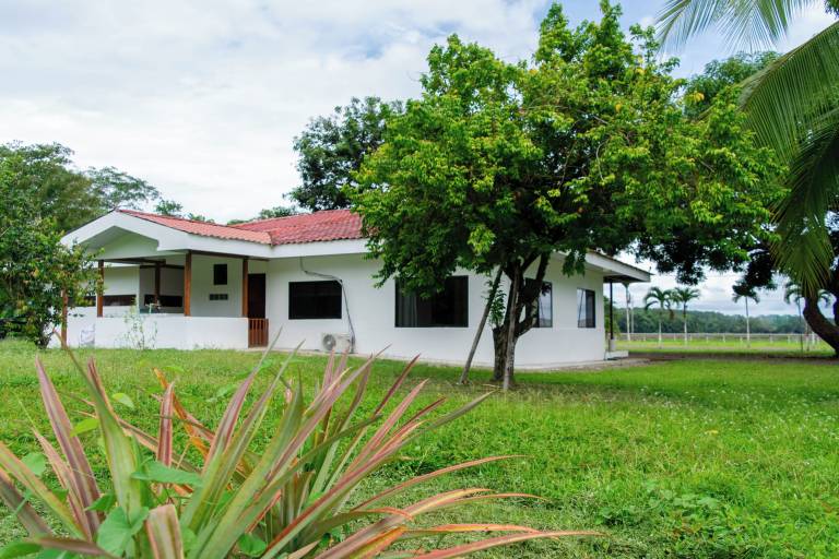 House  Portalón