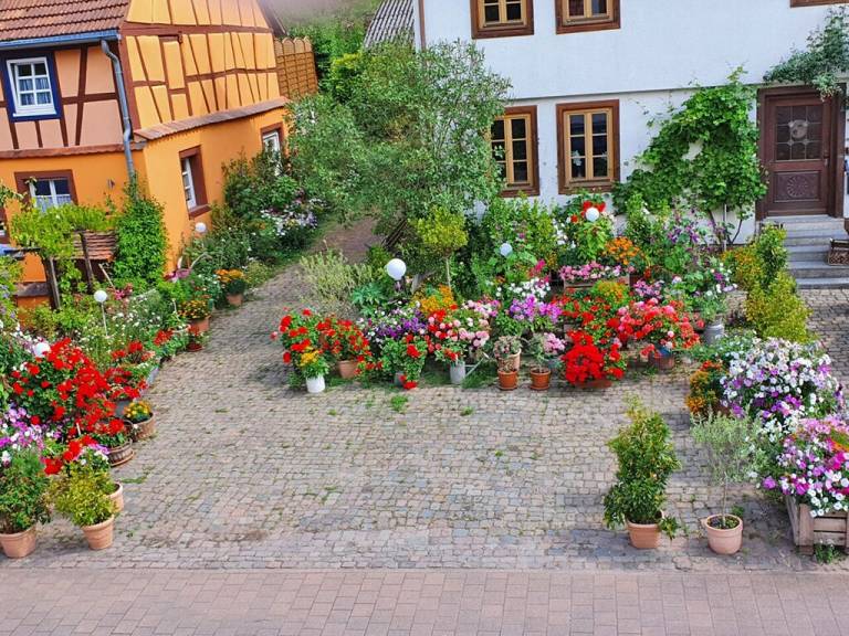 Ferienhaus Schönau (Pfalz)