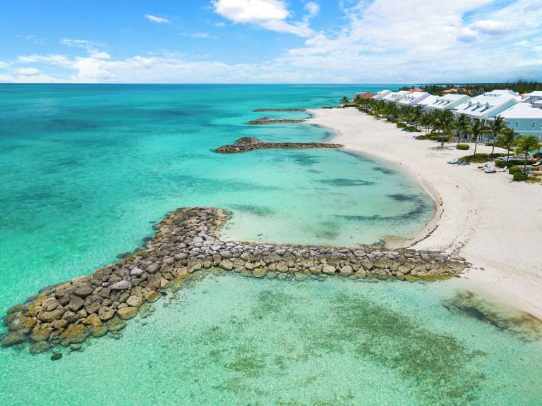 House Palm Cay