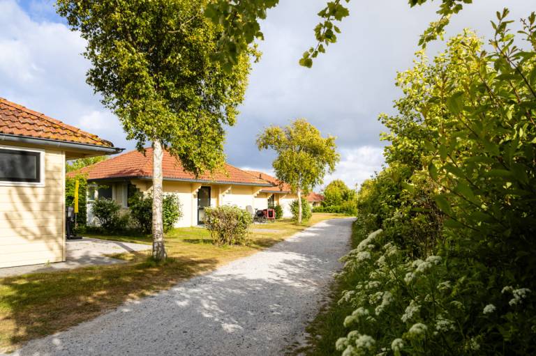 Ferienhaus in Hoorn, Terschelling f&uuml;r max. 4 Personen