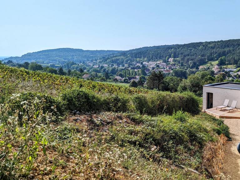 foto17