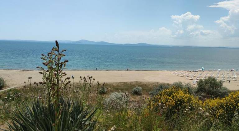 Holiday apartment with pool | Close to the beach | Pets allowed — photo 5