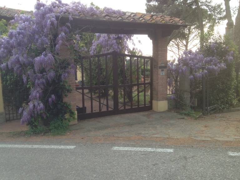 foto4