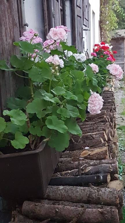 foto40