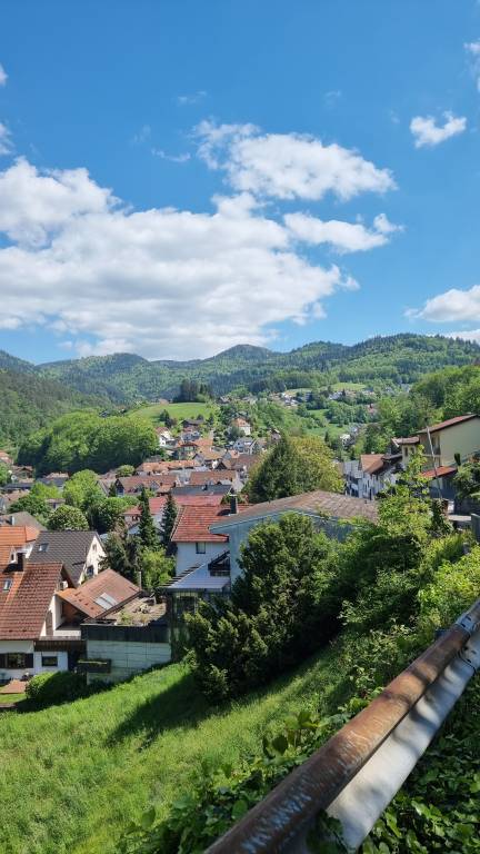 Holiday Home 'Bühlertal Mit 3 Fewos' with Mountain View, Private Terrace and Wi-Fi — photo 3