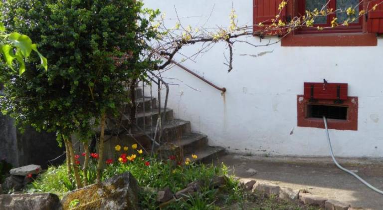 foto8